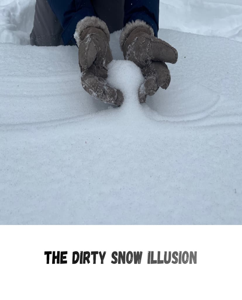 Hands holding fresh white snow with untouched snow in the background appearing gray