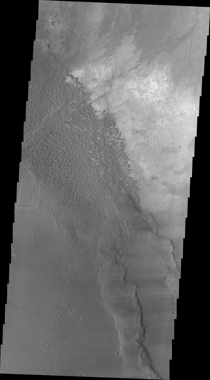 Dark sand dunes of the Nili Patera dune field on Mars